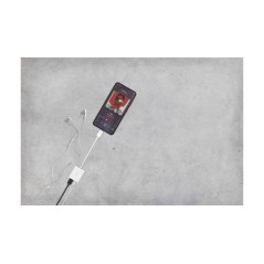 Buy Belkin RockStar - Premium Audio & Charge Adapter for Ultimate Convenience